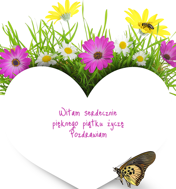 Motylek z pozdrowieniami na piątek